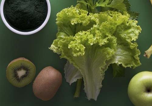 The Gut Revolution: Why Digestive Health Is Becoming the Cornerstone of Modern Longevity